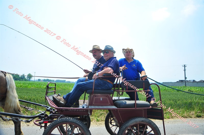 DSC_1079.JPG